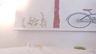 KOREAN BJ 사슴이