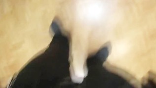 hardcore anal korean groupsex