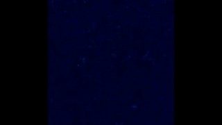 KOREAN BTS JIN KING SIZE DICK?? / BULGE