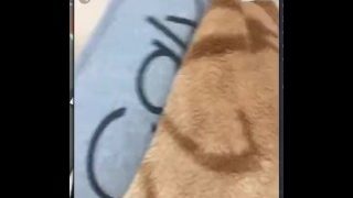 아자르 한국